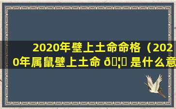 2020年壁上土命命格（2020年属鼠壁上土命 🦟 是什么意思）